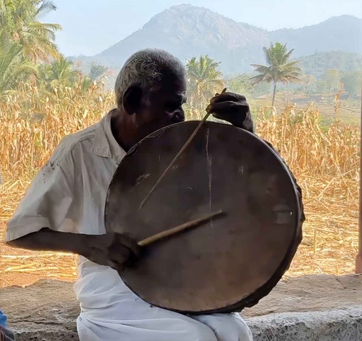 Mr. Giriya, a hereditary parai artist, playing the parai frame drum in a rural Tamil Nadu landscape
